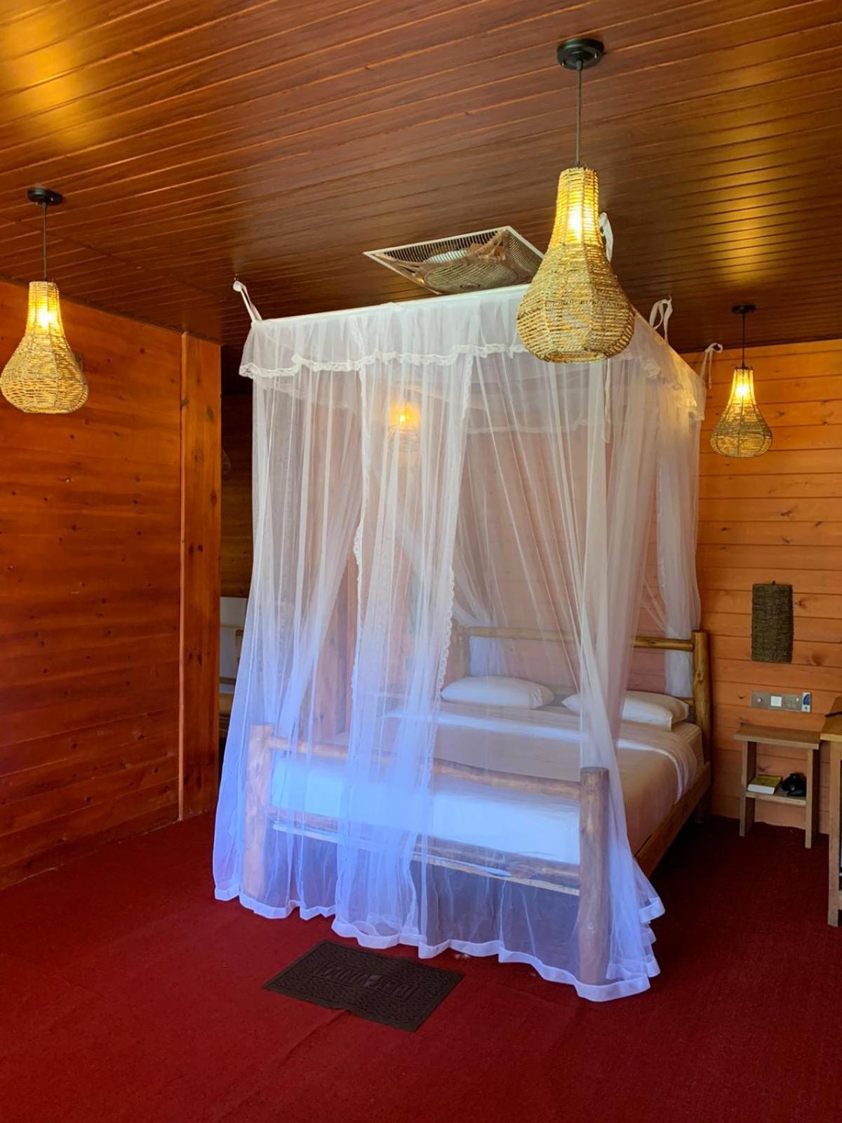 Ella Wood Cabin Cameră foto